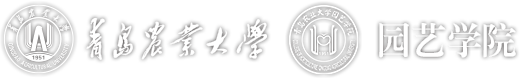 谈球吧